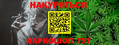 ешки Новозыбков
