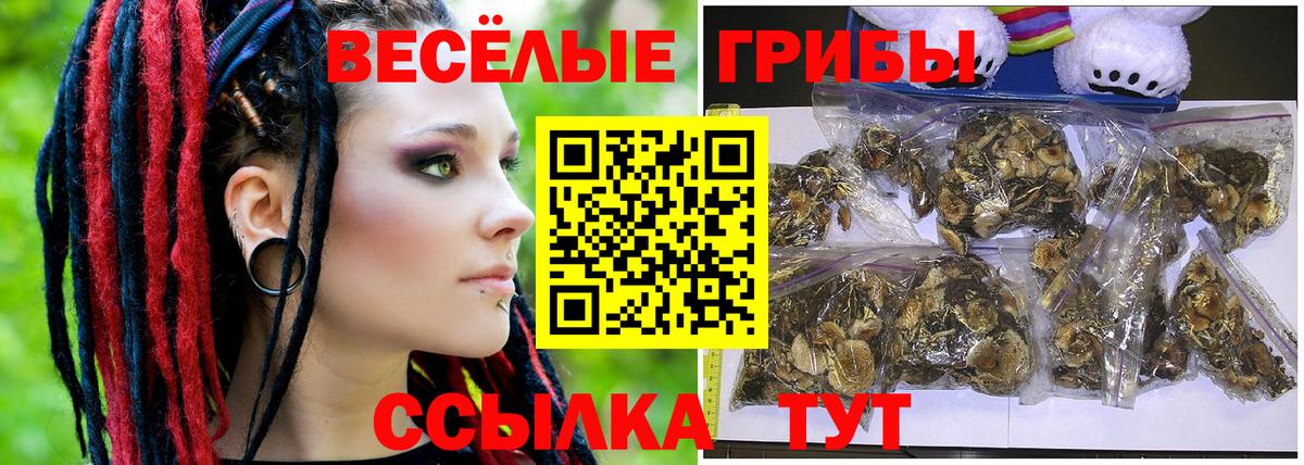 Галлюциногенные грибы мухоморы Серпухов
